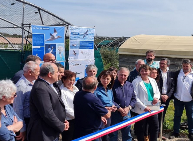 Inauguration volière soins oiseaux marins